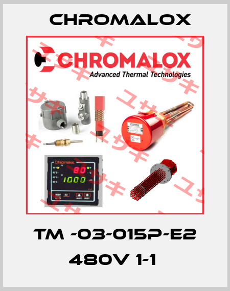 TM -03-015P-E2 480V 1-1  Chromalox