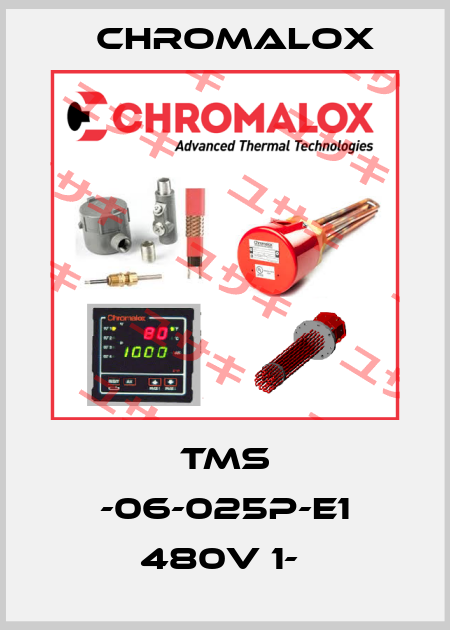 TMS -06-025P-E1 480V 1-  Chromalox