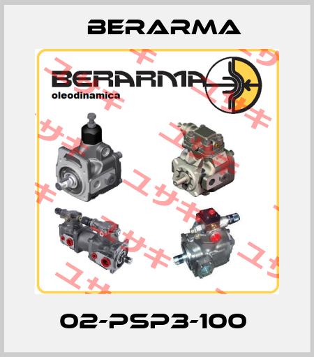 02-PSP3-100  Berarma