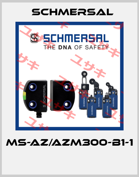 MS-AZ/AZM300-B1-1  Schmersal