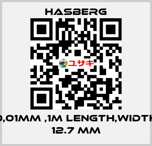 0,01MM ,1M LENGTH,WIDTH 12.7 MM  Hasberg