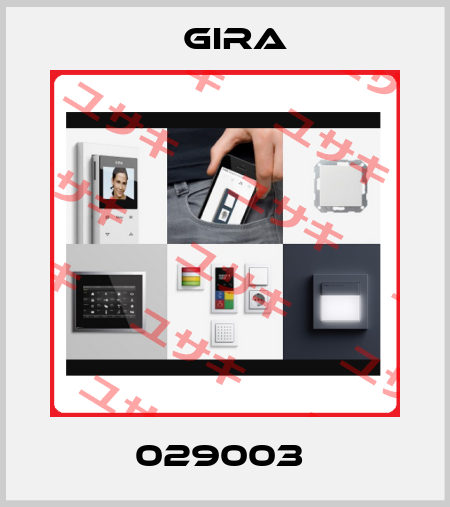 029003  Gira