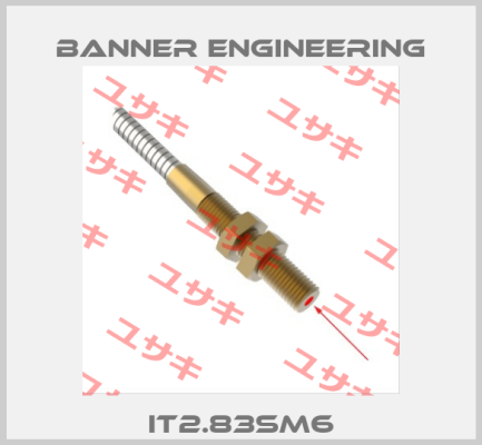 IT2.83SM6 Banner Engineering