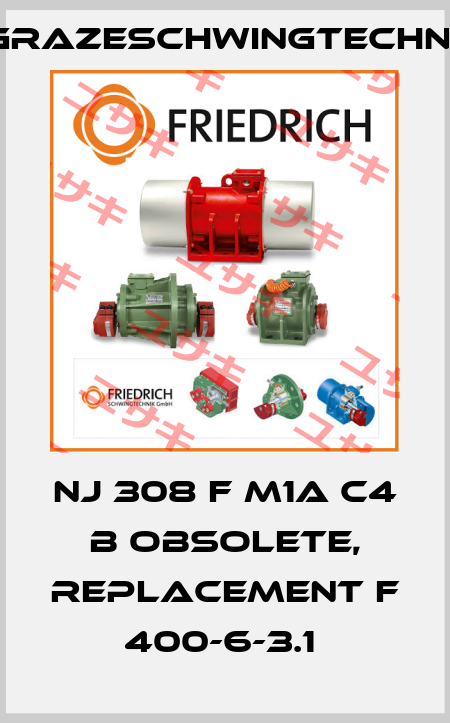 NJ 308 F M1A C4 B obsolete, replacement F 400-6-3.1  GrazeSchwingtechnik