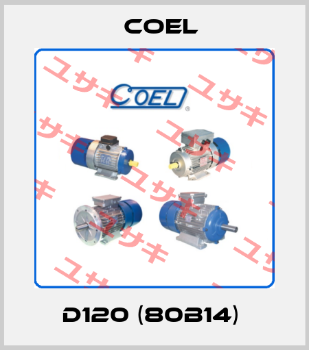 D120 (80B14)  Coel