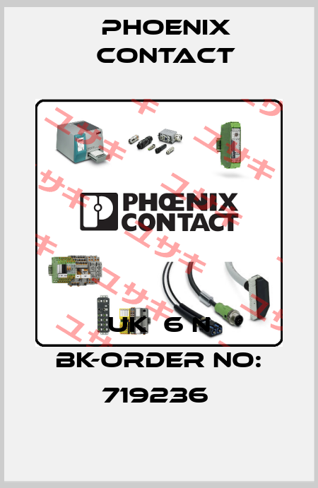 UK  6 N BK-ORDER NO: 719236  Phoenix Contact