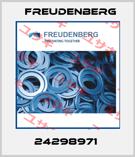 24298971  Freudenberg