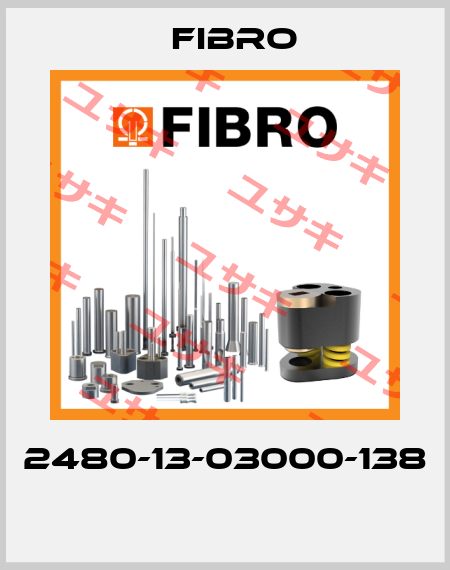 2480-13-03000-138  Fibro