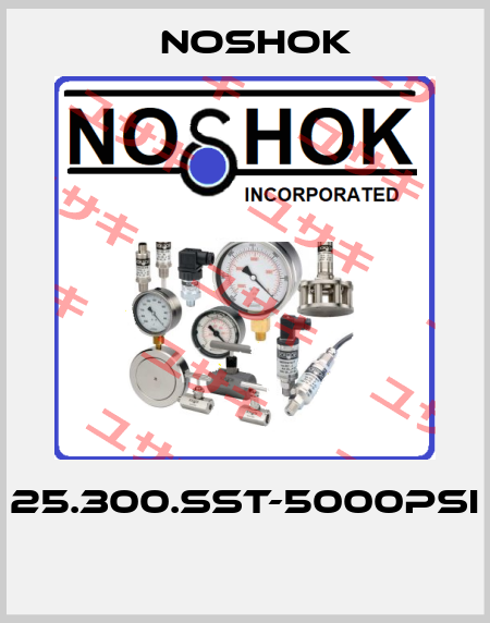 25.300.SST-5000PSI  Noshok