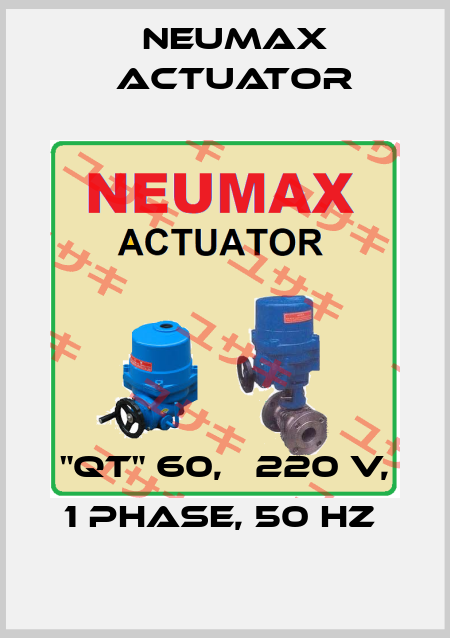 "QT" 60,   220 V, 1 PHASE, 50 HZ  Neumax Actuator