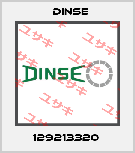 129213320  Dinse