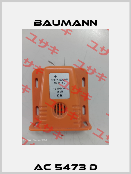 AC 5473 D Baumann
