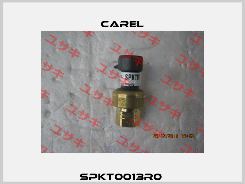 SPKT0013R0  Carel