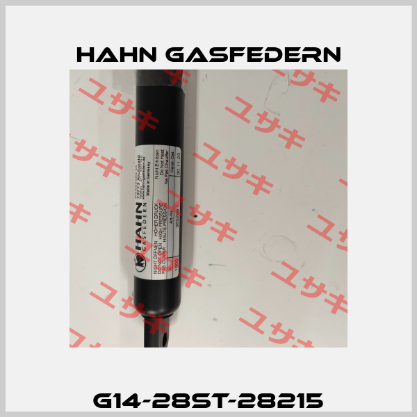 G14-28ST-28215 Hahn Gasfedern