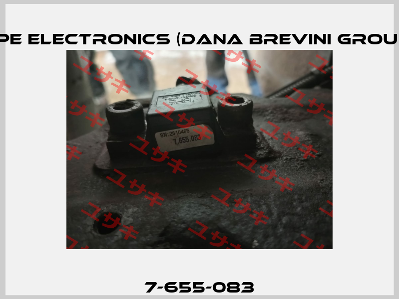 7-655-083 BPE Electronics (Dana Brevini Group)