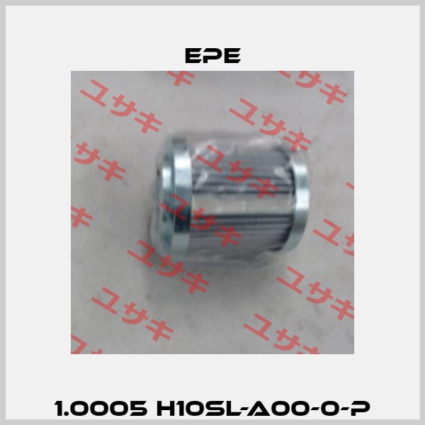 1.0005 H10SL-A00-0-P Epe