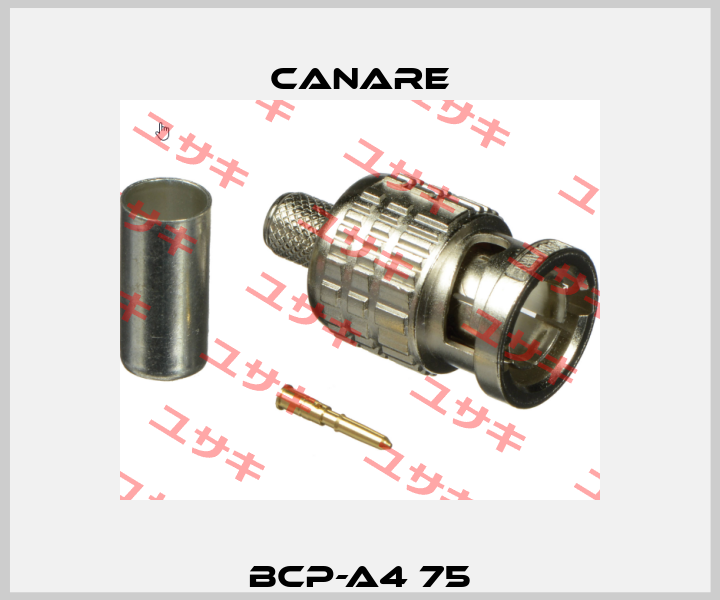 BCP-A4 75 Canare