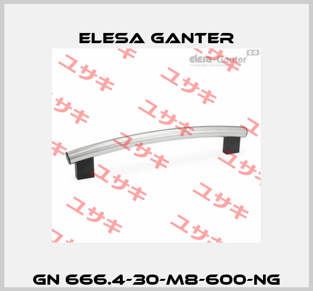 GN 666.4-30-M8-600-NG Elesa Ganter