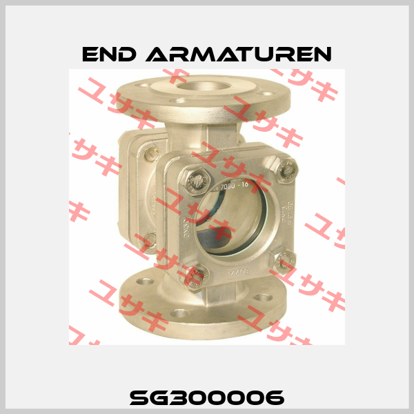 SG300006 End Armaturen