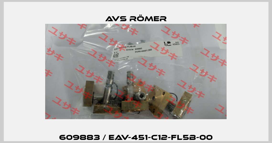 609883 / EAV-451-C12-FL5B-00 Avs Römer