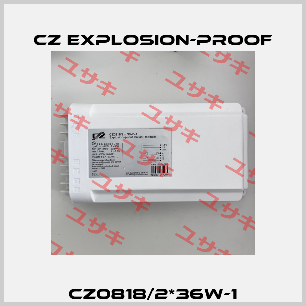 CZ0818/2*36W-1 CZ Explosion-proof