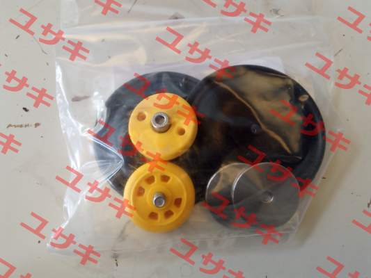 membrane kit for 33/2011NHHV2 Raasm