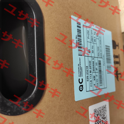 FCA 112 M 2 /PHE / 6000 AC Motoren