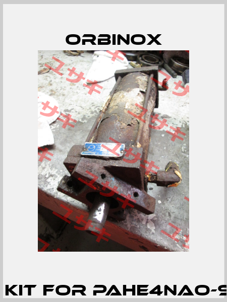 Seal kit for PAHE4NAO-9.625  Orbinox