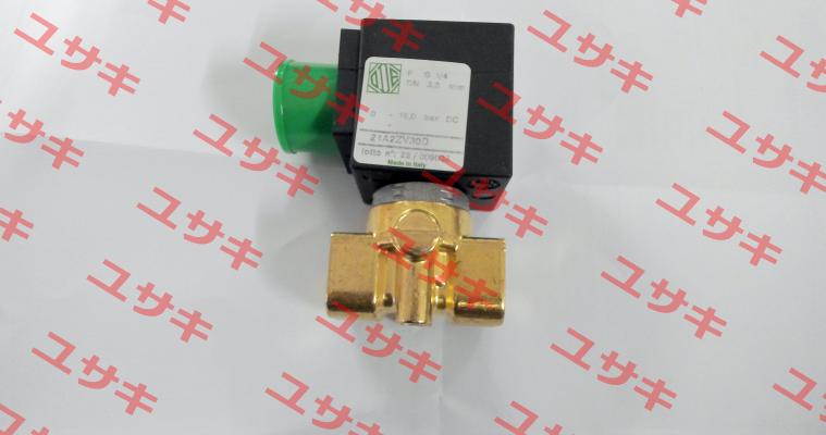 21A2ZV30D Ode