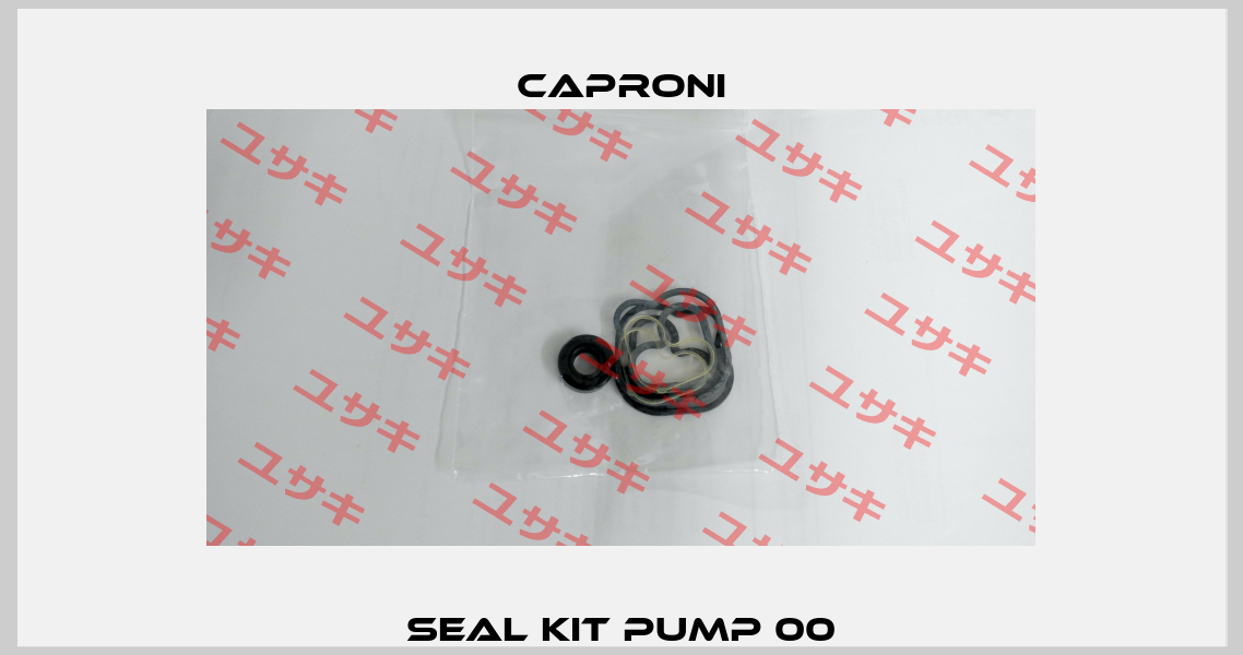 Seal kit pump 00 Caproni