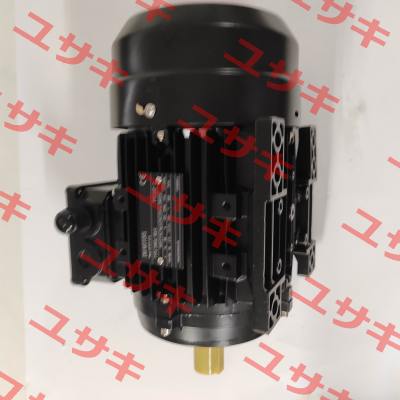 DMGL 90L4 – B3 DM Motors