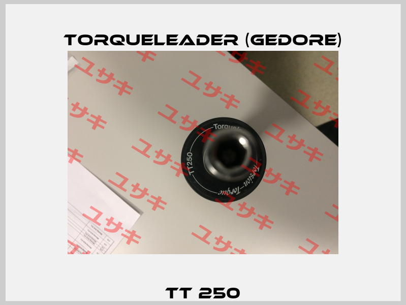 TT 250 Torqueleader (Gedore)