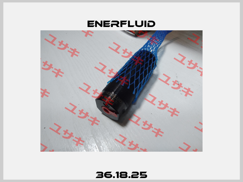 36.18.25 Enerfluid