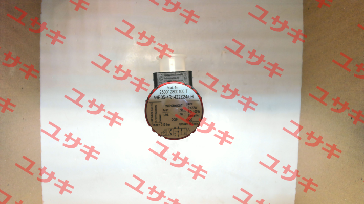 WE05-4R1422Z24/0H Voith