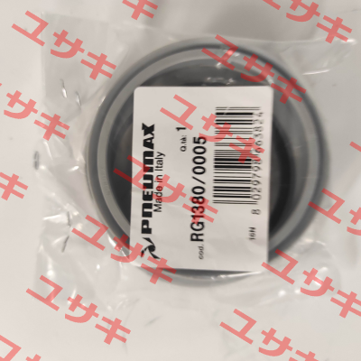 RG1380/0005 Pneumax