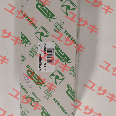 T173BEPADSCN Pneumax