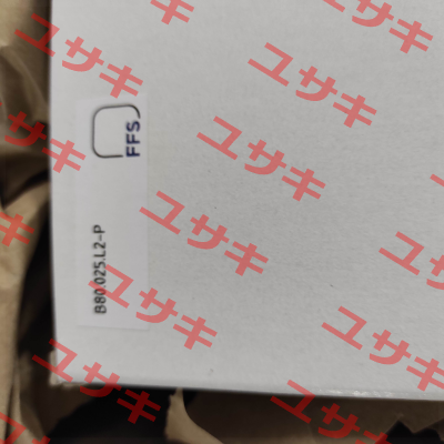 FE B80.025.L2-P Fluidtech