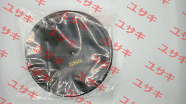 160 4020B DP-25 Diaphragm Buna / 3008587 TERYAIR