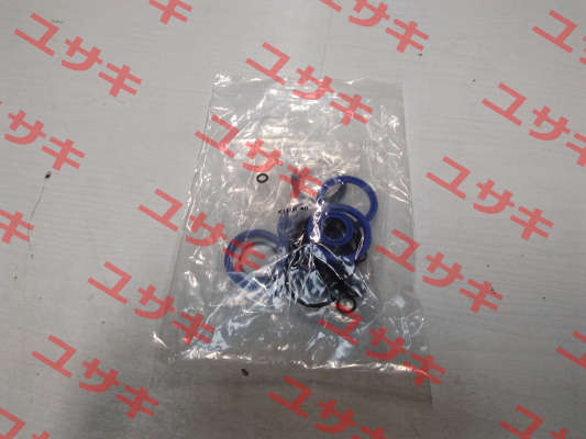 repair kit for 40RPE100NO Enerfluid