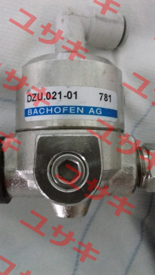 DZU.021-01 Bachofen