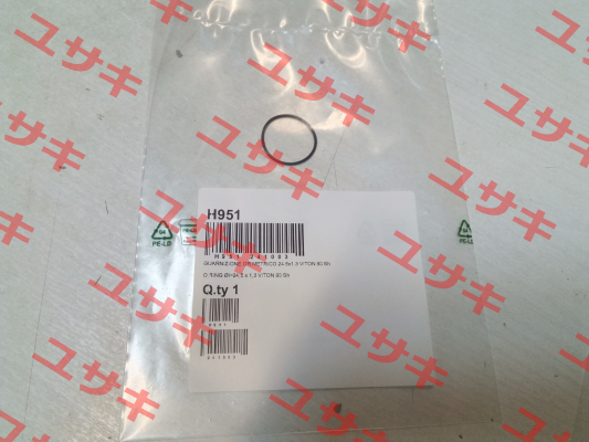 H951 Raasm