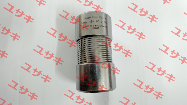 6110798 Baumann