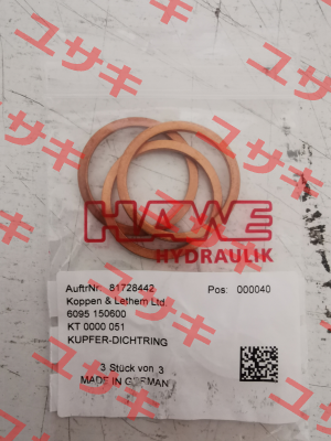 6095 1506-00 Hawe