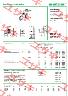 H226-41300-206V4 Salzer