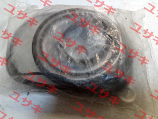 ARS/ARSW Seal Kit Brevini
