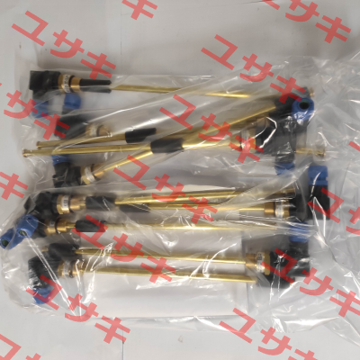NR 1/2'' EExi-L300-01 L1/260/S-3+PE Goldammer