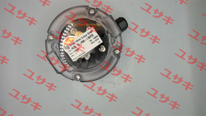 528007 Badger Meter