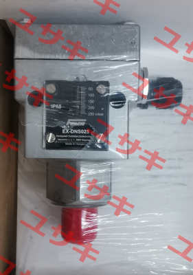 EX-DNS025 FEMA