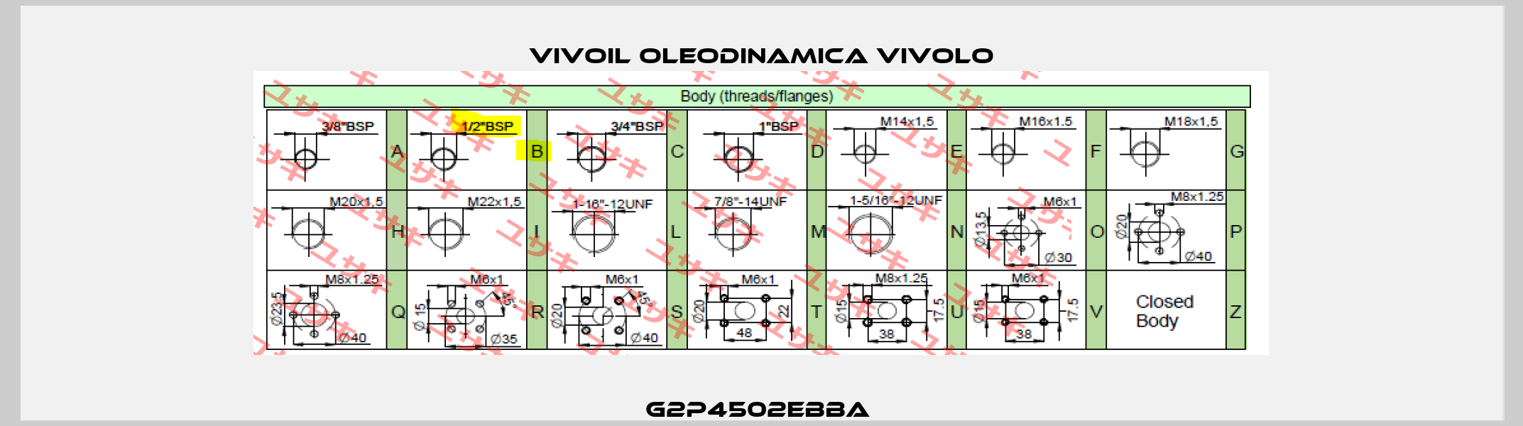 G2P4502EBBA  Vivoil Oleodinamica Vivolo