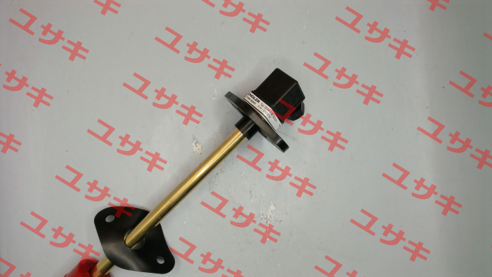 SSM.1.B5.180.5.S1 Engler